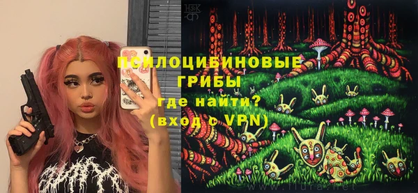 mix Белокуриха