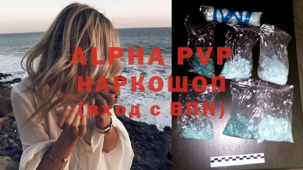гашик Беломорск