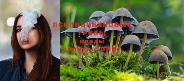 гашик Беломорск