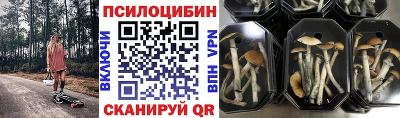 Купить закладки  Коркино  Галлюциногенные грибы мицелий 